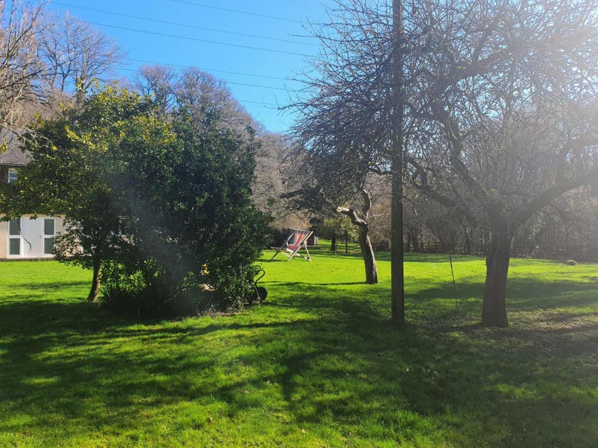 Osbornes Holiday House Near Exeter With Swimming Pool 外观 照片